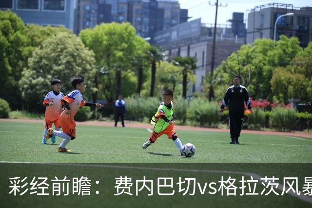 彩经前瞻：费内巴切vs格拉茨风暴，土超豪门渴望闯入欧冠正赛