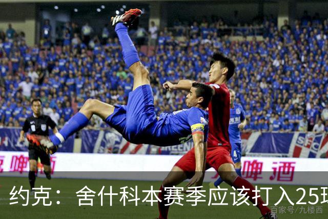 约克：舍什科本赛季应该打入25球，这点甚至应该写进他的合同里